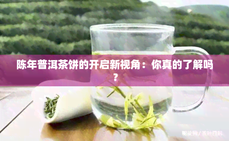 陈年普洱茶饼的开启新视角：你真的了解吗？