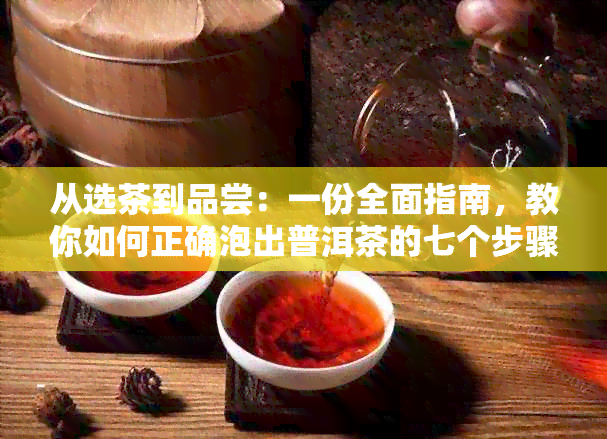 从选茶到品尝：一份全面指南，教你如何正确泡出普洱茶的七个步骤