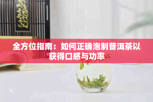 全方位指南：如何正确泡制普洱茶以获得口感与功率