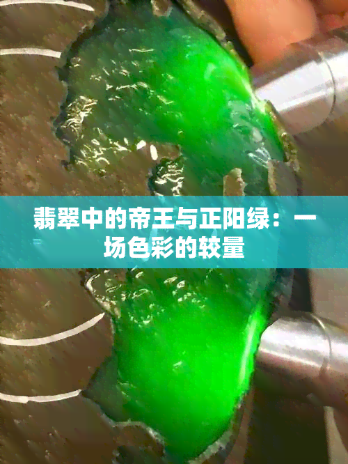 翡翠中的帝王与正阳绿：一场色彩的较量