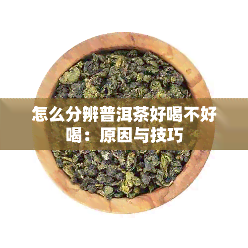 怎么分辨普洱茶好喝不好喝：原因与技巧