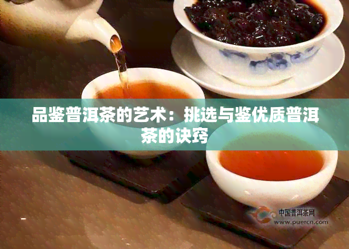 品鉴普洱茶的艺术：挑选与鉴优质普洱茶的诀窍