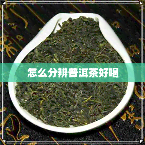 怎么分辨普洱茶好喝