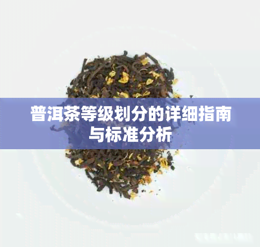 普洱茶等级划分的详细指南与标准分析