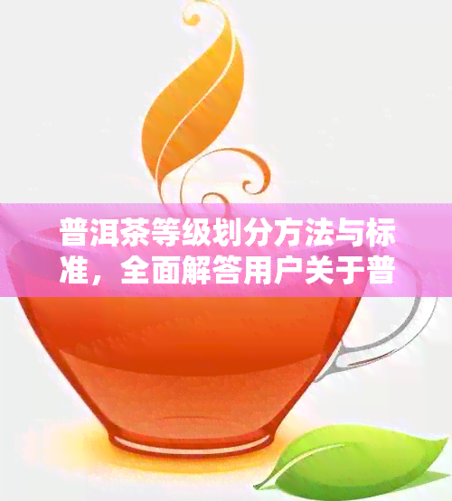 普洱茶等级划分方法与标准，全面解答用户关于普洱茶品质的疑问