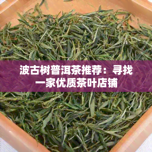 波古树普洱茶推荐：寻找一家优质茶叶店铺