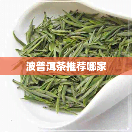 波普洱茶推荐哪家