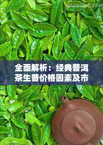 全面解析：经典普洱茶生普价格因素及市场行情，助您轻松选购优质茶叶