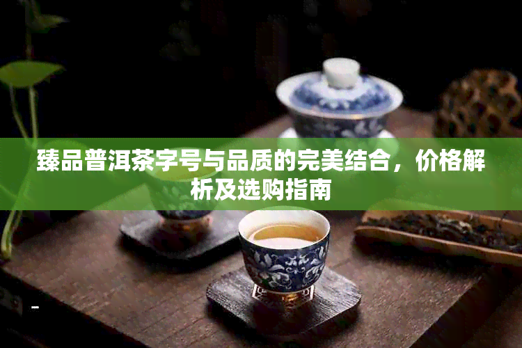 臻品普洱茶字号与品质的完美结合，价格解析及选购指南