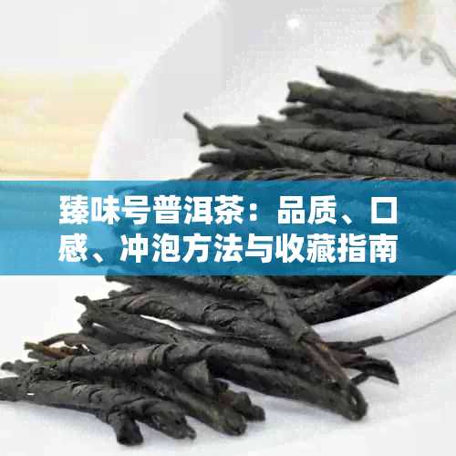 臻味号普洱茶：品质、口感、冲泡方法与收藏指南，一篇全面解答您的疑问