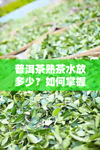 普洱茶熟茶水放多少？如何掌握比例以获得口感和品质？