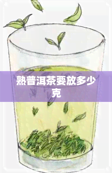 熟普洱茶要放多少克