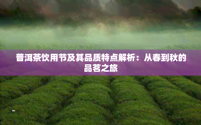 普洱茶饮用节及其品质特点解析：从春到秋的品茗之旅