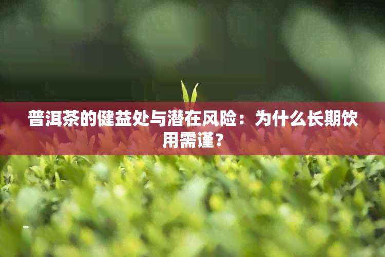 普洱茶的健益处与潜在风险：为什么长期饮用需谨？