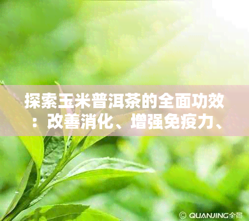 探索玉米普洱茶的全面功效：改善消化、增强免疫力、降低胆固醇等多重益处