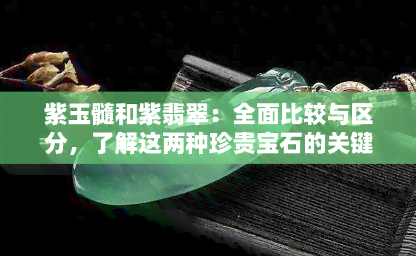 紫玉髓和紫翡翠：全面比较与区分，了解这两种珍贵宝石的关键要素