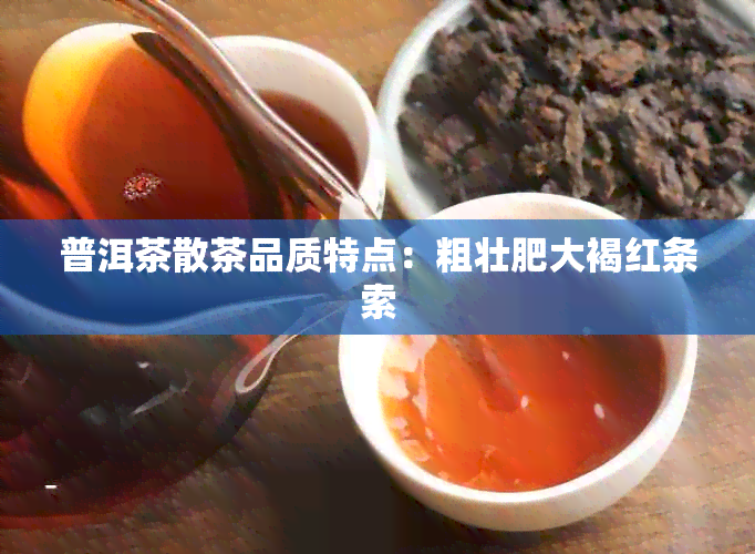 普洱茶散茶品质特点：粗壮肥大褐红条索