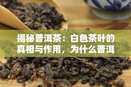 揭秘普洱茶：白色茶叶的真相与作用，为什么普洱茶中会有白色茶叶？