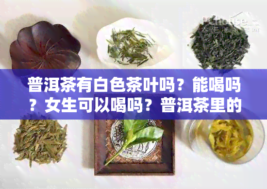 普洱茶有白色茶叶吗？能喝吗？女生可以喝吗？普洱茶里的白色物质是什么？