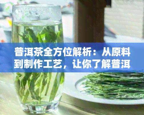 普洱茶全方位解析：从原料到制作工艺，让你了解普洱茶的方方面面