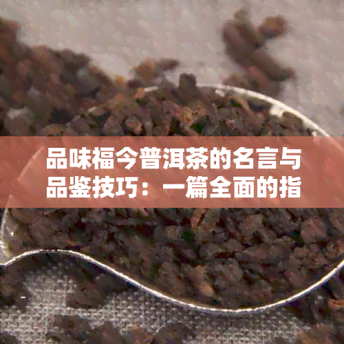 品味福今普洱茶的名言与品鉴技巧：一篇全面的指南