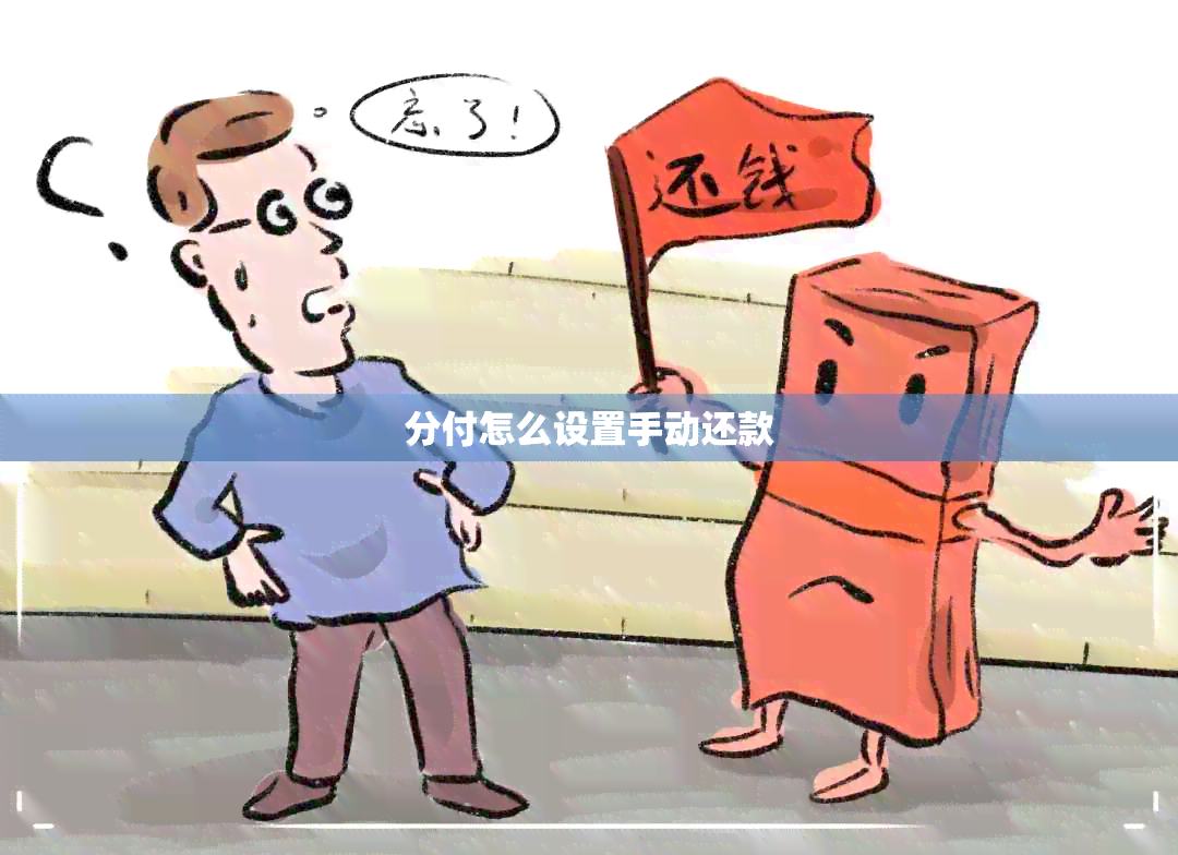 分付怎么设置手动还款