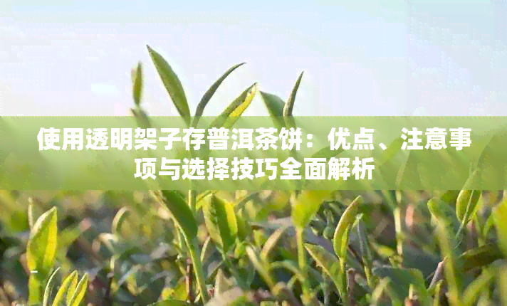 使用透明架子存普洱茶饼：优点、注意事项与选择技巧全面解析