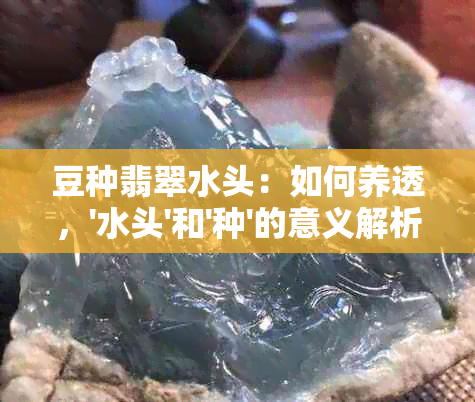 豆种翡翠水头：如何养透，'水头'和'种'的意义解析