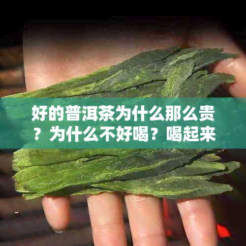 好的普洱茶为什么那么贵？为什么不好喝？喝起来的口感和感觉是什么？