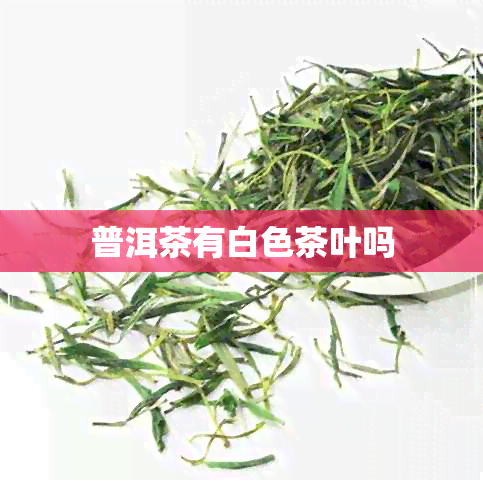 普洱茶有白色茶叶吗