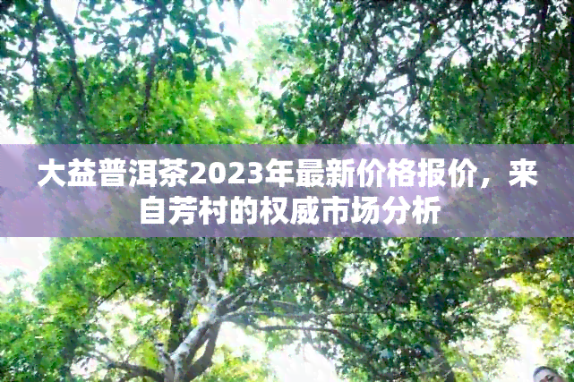 大益普洱茶2023年最新价格报价，来自芳村的权威市场分析