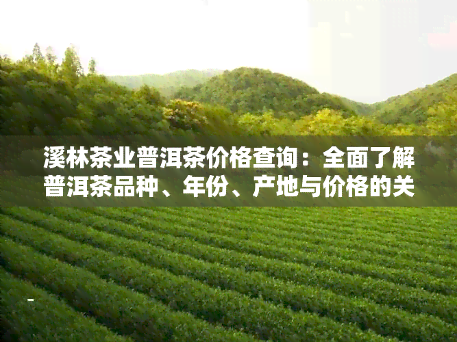 溪林茶业普洱茶价格查询：全面了解普洱茶品种、年份、产地与价格的关系