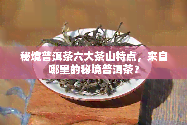 秘境普洱茶六大茶山特点，来自哪里的秘境普洱茶？