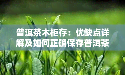 普洱茶木柜存：优缺点详解及如何正确保存普洱茶