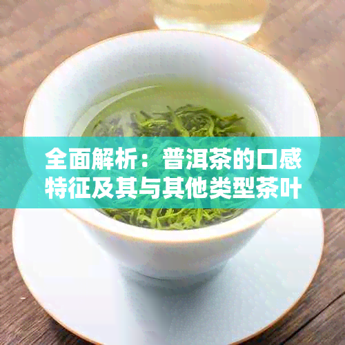 全面解析：普洱茶的口感特征及其与其他类型茶叶的区别