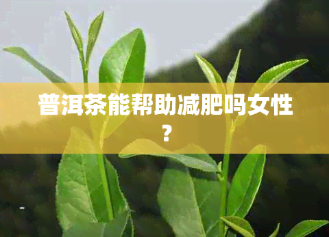 普洱茶能帮助减肥吗女性？