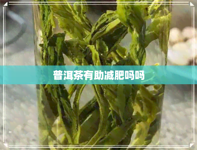 普洱茶有助减肥吗吗