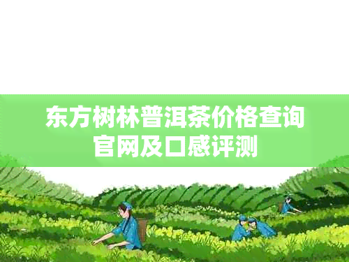 东方树林普洱茶价格查询官网及口感评测