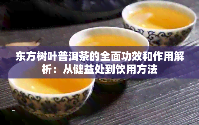 东方树叶普洱茶的全面功效和作用解析：从健益处到饮用方法