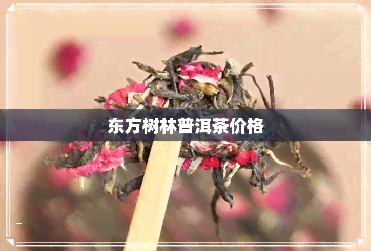 东方树林普洱茶价格