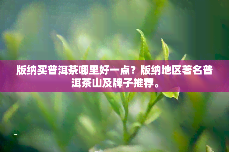 版纳买普洱茶哪里好一点？版纳地区著名普洱茶山及牌子推荐。