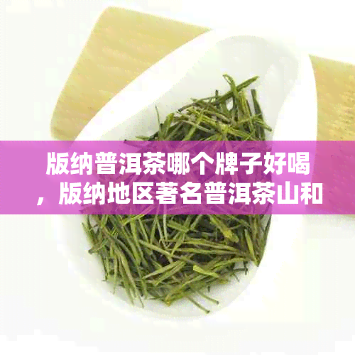 版纳普洱茶哪个牌子好喝，版纳地区著名普洱茶山和产区有哪些？