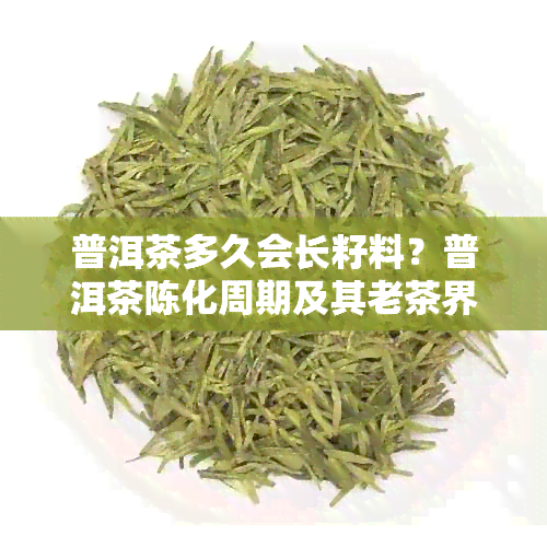 普洱茶多久会长籽料？普洱茶陈化周期及其老茶界定，普洱茶过期时间探讨