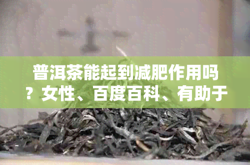 普洱茶能起到减肥作用吗？女性、百度百科、有助于减肥吗、有助减肥吗。