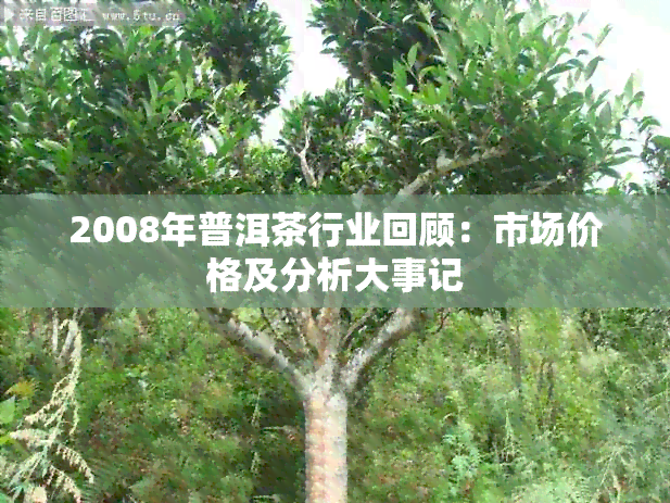 2008年普洱茶行业回顾：市场价格及分析大事记