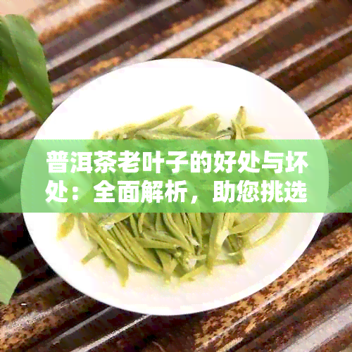 普洱茶老叶子的好处与坏处：全面解析，助您挑选优质茶叶