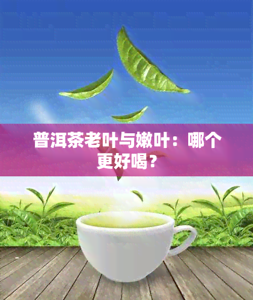 普洱茶老叶与嫩叶：哪个更好喝？