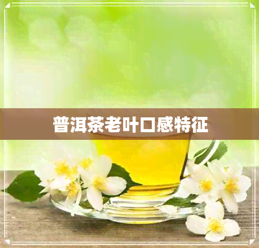 普洱茶老叶口感特征