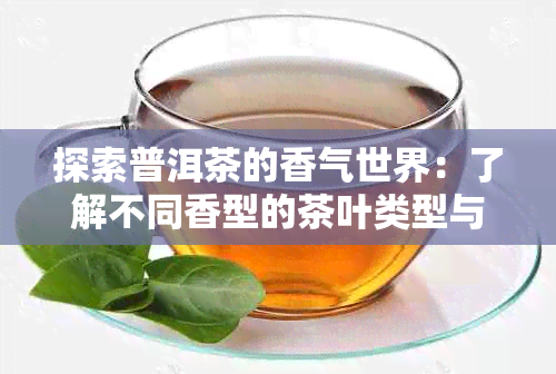 探索普洱茶的香气世界：了解不同香型的茶叶类型与特点