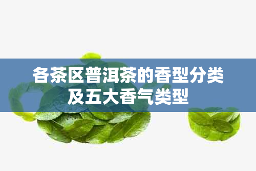 各茶区普洱茶的香型分类及五大香气类型